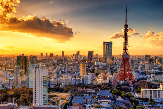 Japan - November 15, 2019 : Scenic Cityscape at Sunset of Tokyo Tower and Skyscraper Buildings of Tokyo, Tokyo
