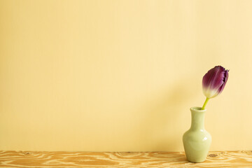 Vase of purple tulip flower on wooden table. beige background