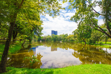 Green tree park with pond against blue sky cloud