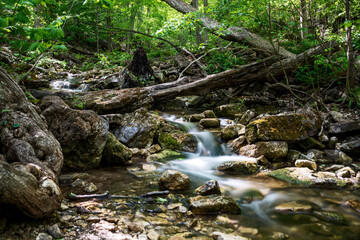 A river cascades down a small rocky hill through a lush green forest on a bright sunny day.