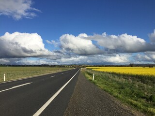 Road with yellow field and blue sky