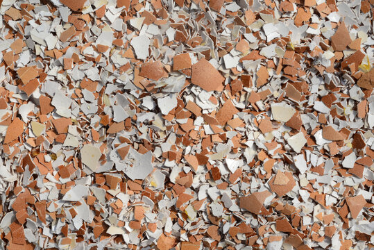 Crushed eggshell for use in making fertilizers