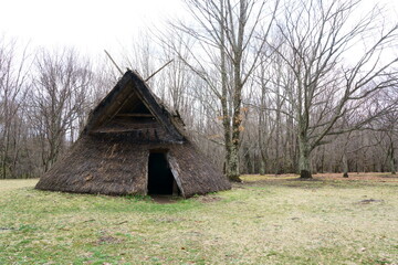日本の古代の縄文遺跡　-与助尾根遺跡、茅野市、長野県、日本
