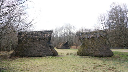 日本の古代の縄文遺跡　-与助尾根遺跡、茅野市、長野県、日本
