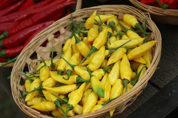 Lemon Drop Pepper from Peru Aji Limo Capsicum frutescens L in basket
