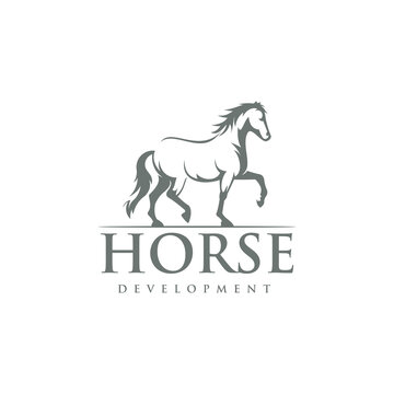 Horse Creative Logo vector Illustration