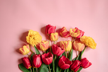 Flat lay composition with fresh tulips copy space.