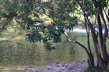 El cauce del río