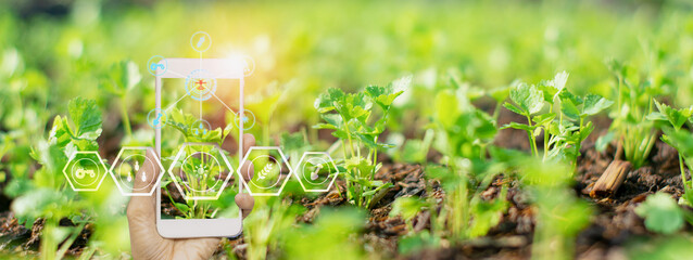 smart farmer holding smartphone,farm background,concept agricultural product control with...