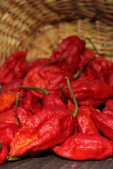 Basket of Fresh Bhut Jolokia Ghost Chili Peppers at rural market