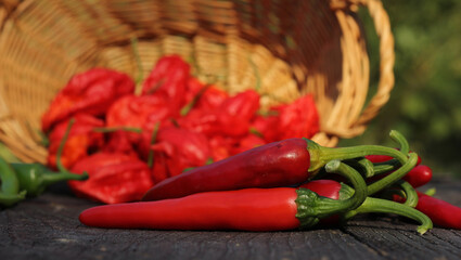 Jalapeno and Cayenne Peppers at rural farmers market