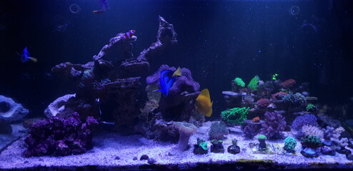 underwater world map