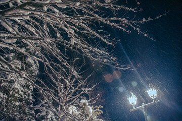 冬のリゾートイメージ  北海道美瑛町