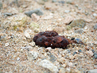 Rusty trash on the beach