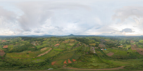 360 panorama by 180 degrees angle seamless panorama of aerial top view of forest trees and green...