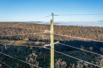 Drone aerial photograph of a wooden telephone pole and wires in a forest