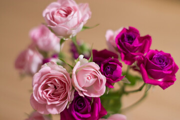 There is a bouquet of pink and red roses. 
