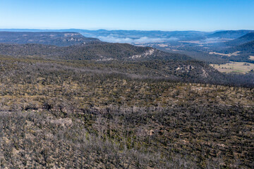 Fototapeta na wymiar Drone aerial photograph of forest regeneration after bushfires in regional Australia