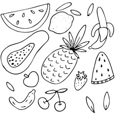 set of summer fruits, vector set of doodle elements with black outline, coloring