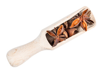 star anise (badian) fruit and seed in scoop cutout