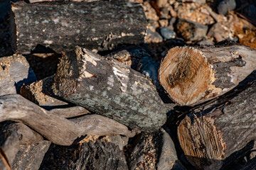 Sawed forest firewood for a fire 
