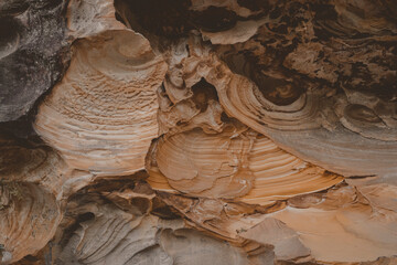 Detail shot of eroded pattern of sandstone layers texture. Seen on a hike at Berowra Creek near the...