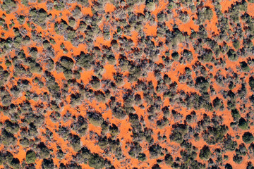 Aerial view of remote bush land in Australian Outback, Shark Bay, Western Australia