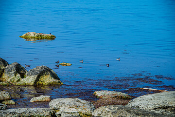 Каспийсуий берег. Рыбалка и отдых