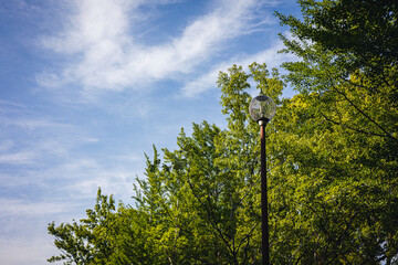 Fototapeta premium 公園の街灯と青空