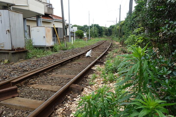 曇りの日の日本の線路