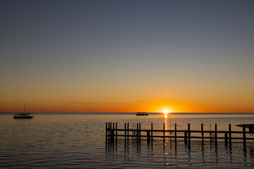 Fototapeta na wymiar Early sunrise with jetty and birds over calm ocean at Monkey Mia, Western Australia
