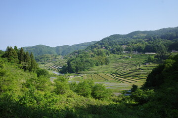 Fototapeta na wymiar とても美しい日本の岡山県の棚田の風景