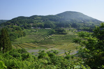 とても美しい日本の岡山県の棚田の風景