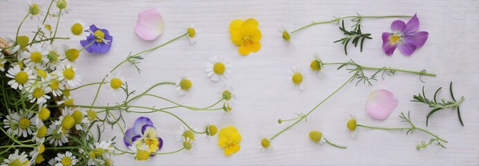 エディブルフラワーの収穫。春の花の背景素材。カモミールとローズマリーとビオラと薔薇の花びら、エディブルフラワーの背景素材