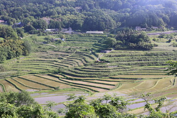 とても美しい日本の岡山県の棚田の風景