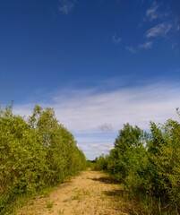 road to the sky