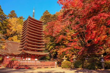 奈良　談山神社　十三重塔と紅葉