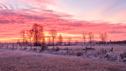 Szron o świcie  © Damian