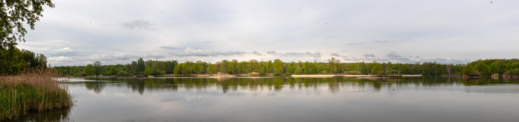 Fototapeta na wymiar small islands with waterfowl in the pond, Vrbenske rybniky Nature reserve, Ceske Budejovice, Czech republic