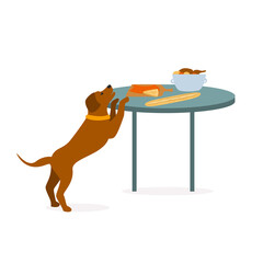 dog trying to steal human food graphic - obrazy, fototapety, plakaty
