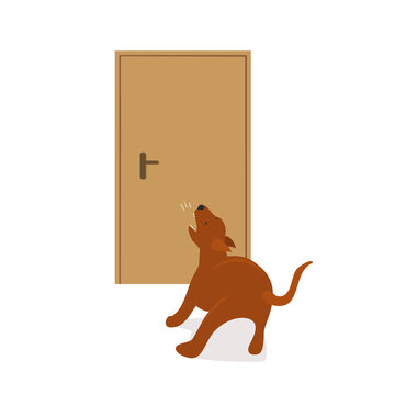 dog barking at the door scene