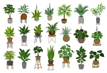 Tuinposter collection of different decor house indoor garden plants in pots and stands graphic set © VecTerrain
