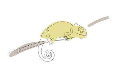 chameleon, sketch, continuous line drawing
