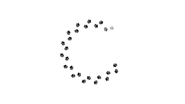 Dog foot prints download loop animation.