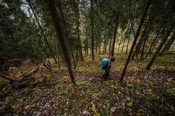 Mountain landscape. Misty forest. Natural outdoor travel background. Slovakia, Low Tatras, Demenovska hora and dolina vyvierania. Liptov travel. © Zedspider