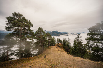 Mountain landscape. Misty forest. Natural outdoor travel background. Slovakia, Low Tatras, Demenovska hora and dolina vyvierania. Liptov travel. © Zedspider
