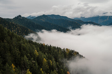 Mountain landscape. Misty forest. Natural outdoor travel background. Slovakia, Low Tatras, Demenovska hora and dolina vyvierania. Liptov travel. © Zedspider