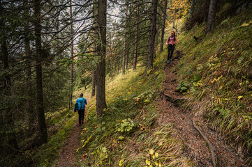 Mountain landscape. Misty forest. Natural outdoor travel background. Slovakia, Low Tatras, Demenovska hora and dolina vyvierania. Liptov travel. © Zedspider