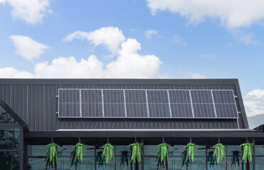 Modern eco green house concept, small coffee shop roof with solar cells panels on top