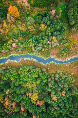 River and brown swamp. Aerial view on wildlife in autumn.